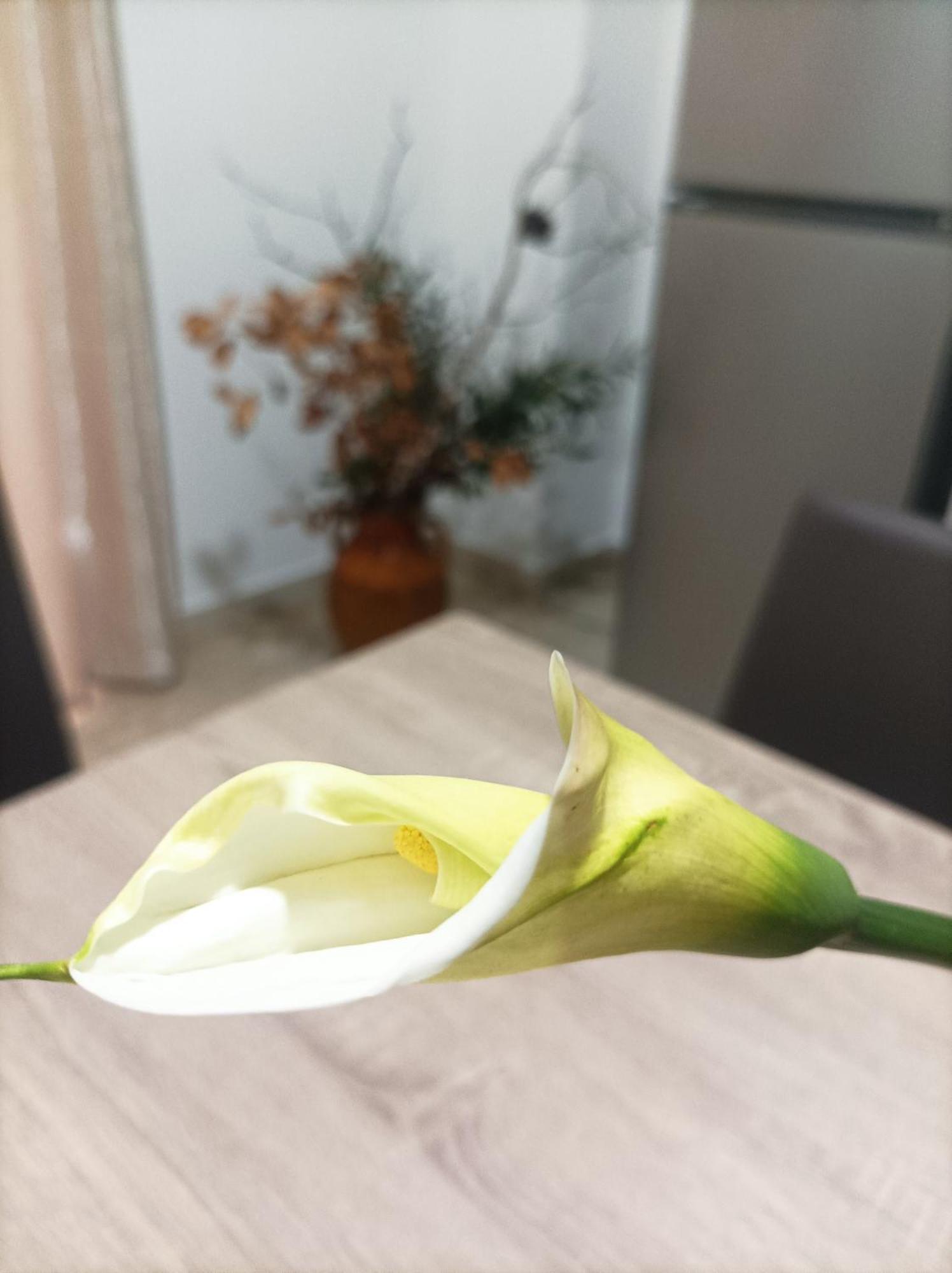 L'Ulivo Apartment Massafra Ngoại thất bức ảnh